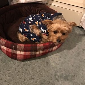 Meet your Posher, Kathy